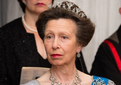 Princess Anne Head Injury: Royal Recovery Update